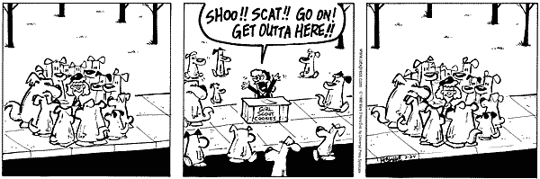 citizendog